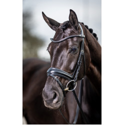 Bridon de dressage Classic LeMieux