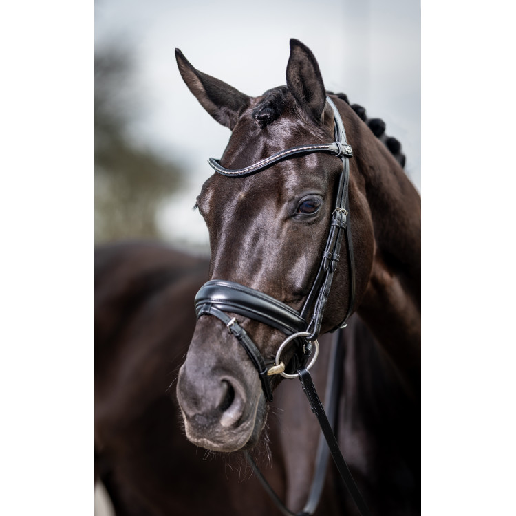 Bridon de dressage Classic LeMieux Bridon de dressage Classic LeMieux