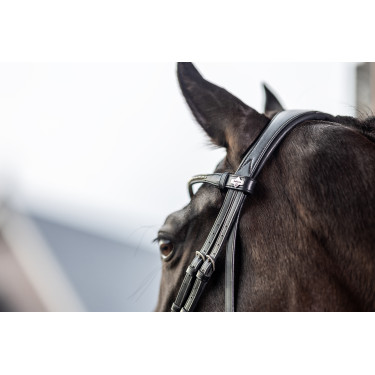 Bridon de dressage Classic LeMieux Bridon de dressage Classic LeMieux