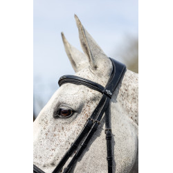 Bridon combiné LeMieux Competition Bridon combiné LeMieux Competition