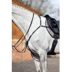 Collier de chasse LeMieux Noir