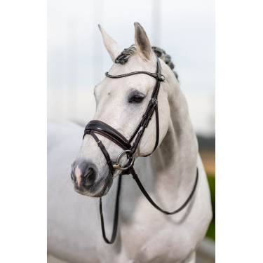 Bridon de dressage Classic LeMieux Bridon de dressage Classic LeMieux
