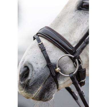 Bridon de dressage Classic LeMieux Bridon de dressage Classic LeMieux