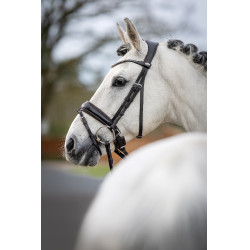 Bridon de dressage Classic LeMieux Marron Bridon de dressage Classic LeMieux Marron