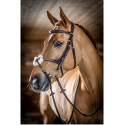 Bridon LeMieux Grackle Havane Marron