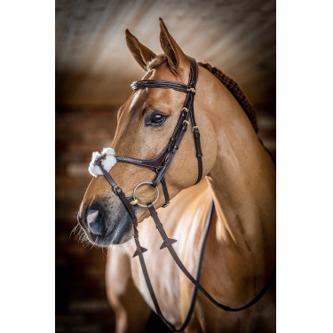 Bridon LeMieux Grackle Havane Marron