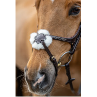 Bridon LeMieux Grackle Havane Marron