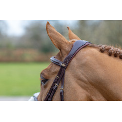 Bridon LeMieux Grackle Havane Marron