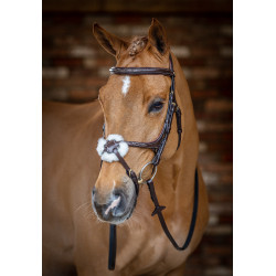 Bridon LeMieux Grackle Havane Marron
