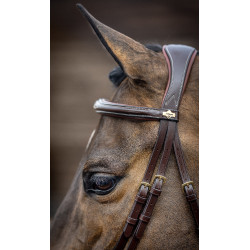 Bridon combiné LeMieux Competition Havane Marron