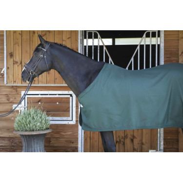 Chemise Paddock Sports Présentation Chemise Paddock Sports Présentation