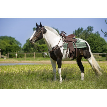 Selle Western Westride Topeka Selle Western Westride Topeka