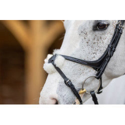 Bridon LeMieux Grackle Noir Bridon LeMieux Grackle Noir