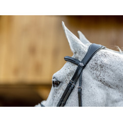 Bridon LeMieux Grackle Noir Bridon LeMieux Grackle Noir