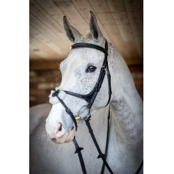 Bridon LeMieux Grackle Noir Bridon LeMieux Grackle Noir