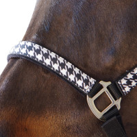 Set licol + longe Pied de poule Canter Noir Set licol + longe Pied de poule Canter Noir