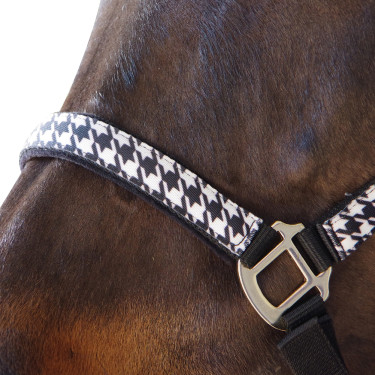 Set licol + longe Pied de poule Canter Set licol + longe Pied de poule Canter