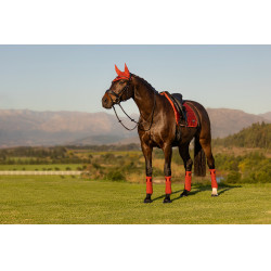 Tapis LeMieux Loire Memory Dressage Square Sienna Rouge Tapis LeMieux Loire Memory Dressage Square Sienna Rouge