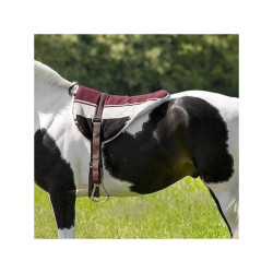 Tapis de monte à cru Norton Tapis de monte à cru Norton