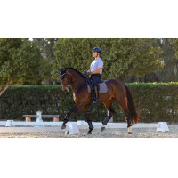 Tapis de dressage LeMieux Le Cool Grip Gris Tapis de dressage LeMieux Le Cool Grip Gris