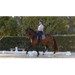 Tapis de dressage LeMieux Le Cool Grip Gris