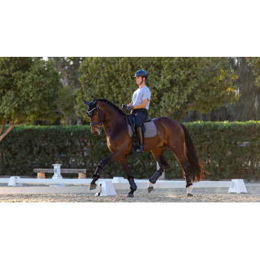 Tapis de dressage LeMieux Le Cool Grip Tapis de dressage LeMieux Le Cool Grip