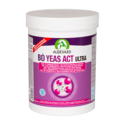 Bo Yeas Act Ultra Audevard