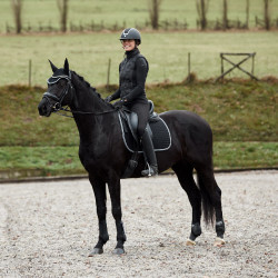 Bonnet anti-mouches Adepto Horze Noir Bonnet anti-mouches Adepto Horze Noir