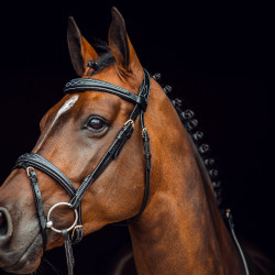 Filet Sion avec rênes Horze Noir
