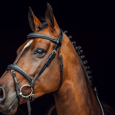 Bridon De Filet Professionnelle Sans Mors - Bride Cheval Rênes Licol à Noeud, Taille Grande