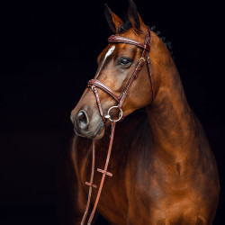 Filet Sion avec rênes Horze Marron