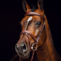 Filet Sion avec rênes Horze Noir Filet Sion avec rênes Horze Noir
