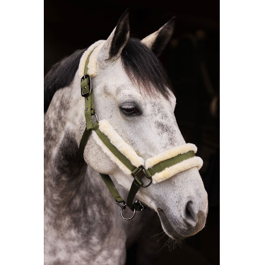 Licol Marquess avec doublure en fausse fourrure Horze Licol Marquess avec doublure en fausse fourrure Horze