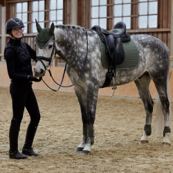 Guêtres Adepto Horze Vert kaki beetle