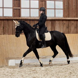 Guêtres Adepto Horze SBR Blanc Guêtres Adepto Horze SBR Blanc