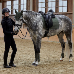 Protège-boulets Adepto Horze Vert kaki beetle