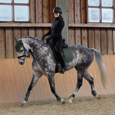 Protège-boulets Adepto Horze Vert kaki beetle