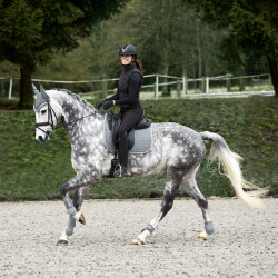 Tapis de selle mixte Adepto Horze Gris acier Tapis de selle mixte Adepto Horze Gris acier