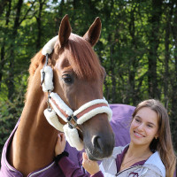 Licol Pénélope Soft Noir Licol Pénélope Soft Noir