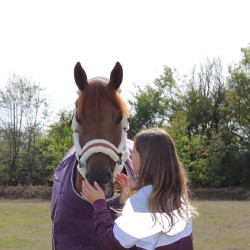 Blouson Pénélope Celecce Prune Violet