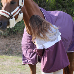 Blouson Pénélope Celecce Prune Violet