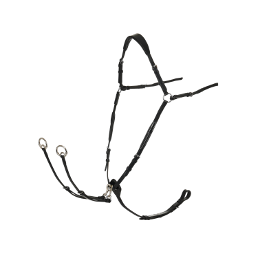 Collier de chasse avec martingale LeMieux Collier de chasse avec martingale LeMieux