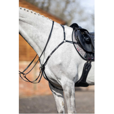 Collier de chasse avec martingale LeMieux Collier de chasse avec martingale LeMieux