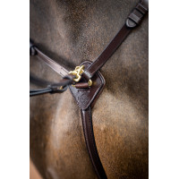 Collier de chasse avec martingale LeMieux Havane Marron Collier de chasse avec martingale LeMieux Havane Marron