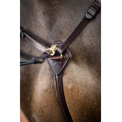 Collier de chasse avec martingale LeMieux Havane Marron Collier de chasse avec martingale LeMieux Havane Marron