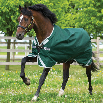 Couverture Horseware Rambo Original 0g avec Leg Arches Vert / argent