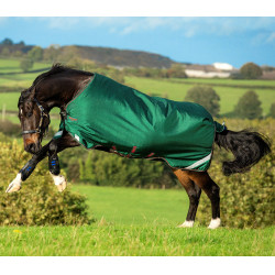 Couverture Horseware Rambo Original 100g avec Leg Arches