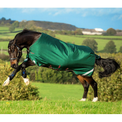 Couverture Horseware Rambo Original 100g avec Leg Arches Vert / rouge