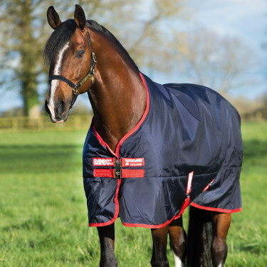 Couverture d'extérieur Horseware Rambo Original 200g Couverture d'extérieur Horseware Rambo Original 200g