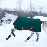 Couverture d'extérieur Horseware Rambo Original 400g Vert / rouge